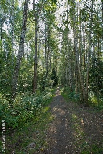 Trail at Slåttmossen (oasis swamp) nature reserve in summer, Jakomäki, Helsinki, Finland.