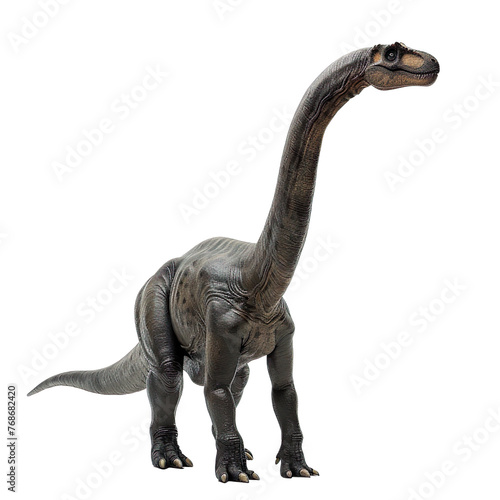 brontosaurus isolated on a transparent background  