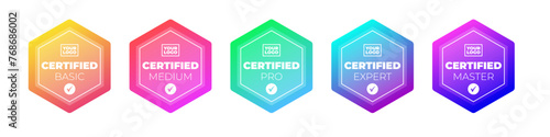Certified badge design. Digital certified logo verified achievements