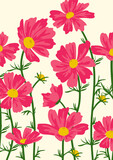 Cosmos flower background.Eps 10 vector