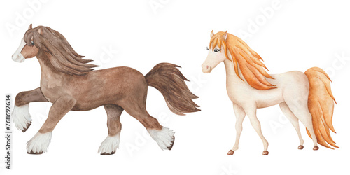Watercolor set of illustrations. Hand painted horse herd. Mare  stallion. Purebred clydesdale horse  palomino. Cartoon animals. Family of horses in profile male and female. Isolated clip art
