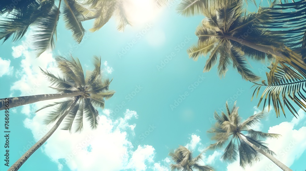 palm tree on the beach palm tree on the beach
