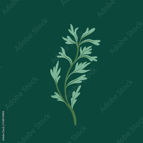 Collection of elegant beautiful tropical plants isolated on background. Cute leaves for decorative design elements.