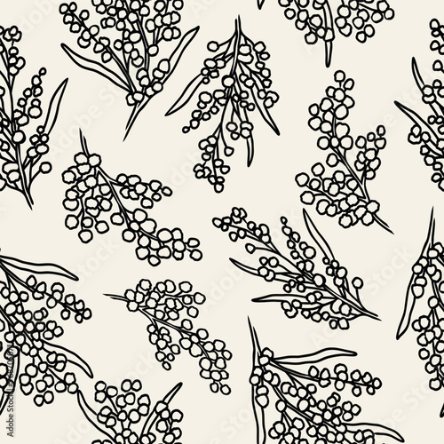 Line art wattle collection. Hand drawn acacia	background