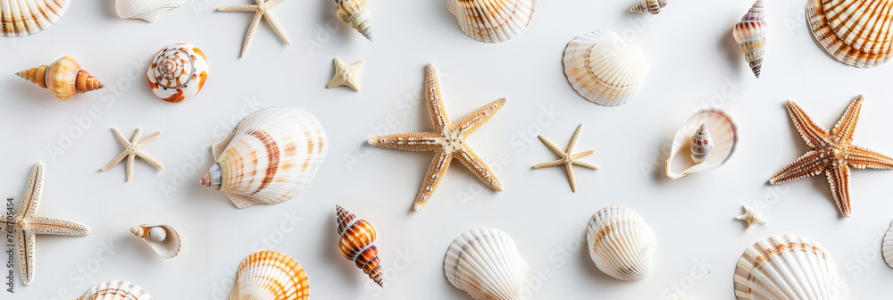 Flat lay aesthetic marine pattern on light clean background with seashells and starfish. Generative AI Flat lay aesthetic marine pattern on light clean background with seashells and starfish. Generative AI