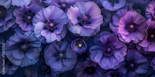 Dark purple flowers in full bloom.  © killykoon