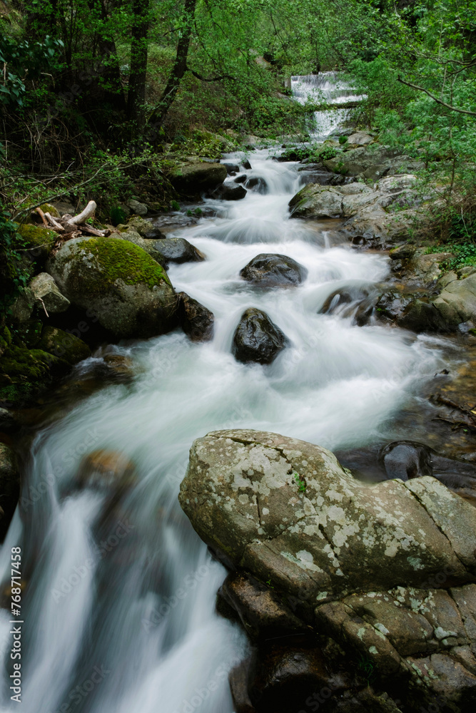 Water flows over rocks in the forest. Protected natural areas