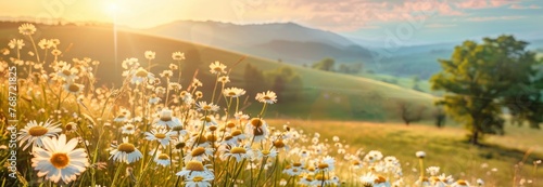 A beautiful spring landscape with rolling hills and daisies in full bloom