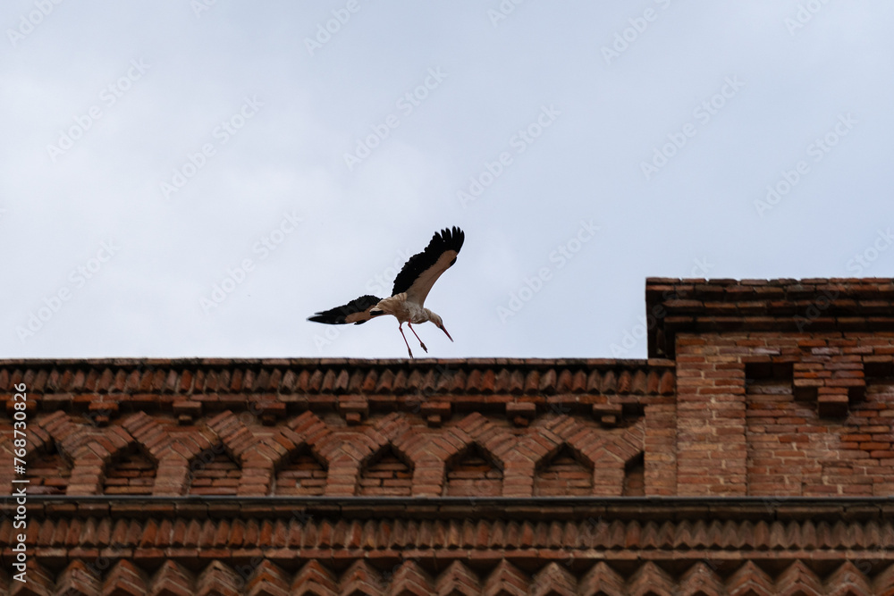 Stork is flying over a building with clouds in the background. Stork is flying over a building with clouds in the background.