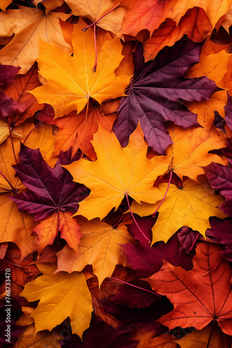 Autumn leaves lying on the floor. Colorful collage