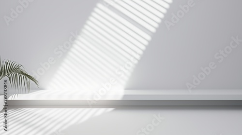 Minimalist White Interior with Sunlight Casting Palm Shadows
