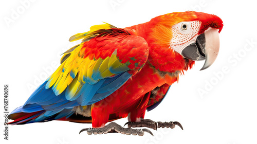 Scarlet Macaw Ai Generative

