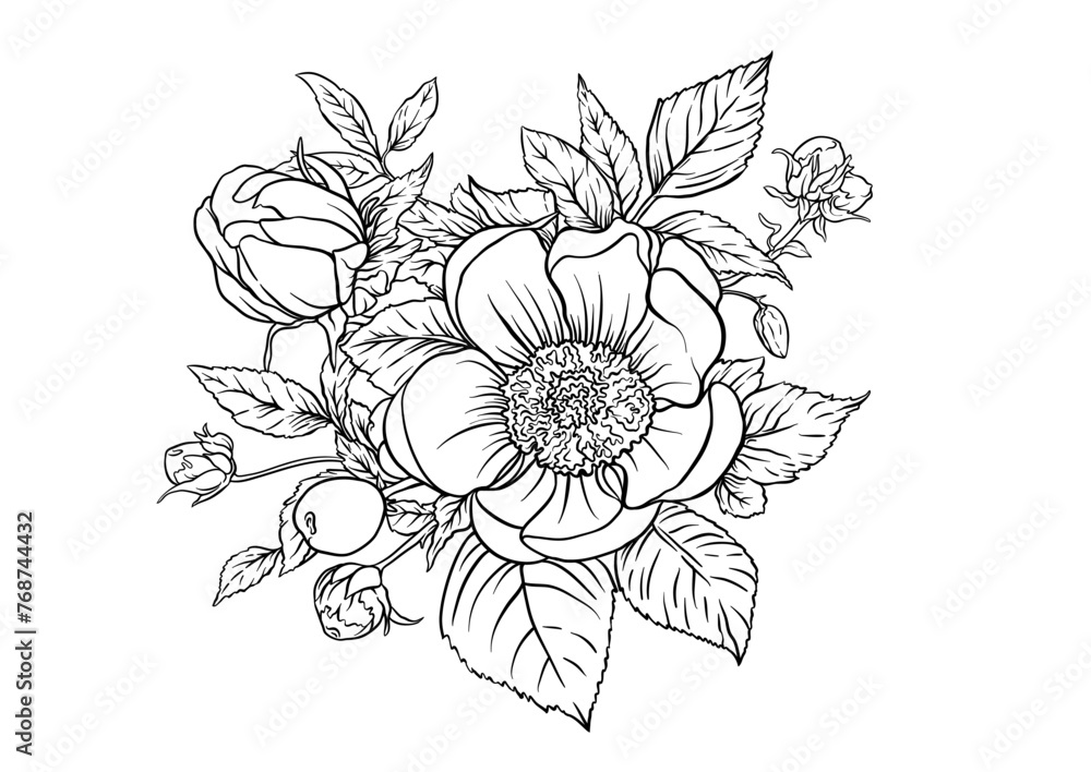 Boutonniere of wild rose flowers and berries Clip art, set of elements for design Outline hand drawing vector illustration. In botanical style