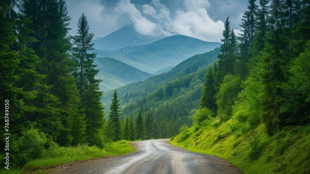 Road in forest in day in spring. Beautiful mountain curved roadway, trees with green foliage in fog and overcast sky