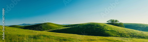 Landscape photo of a green environment with clear blue skies  symbolizing the beauty and importance of nature protection.
