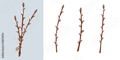 Easter spring twigs blossom pussy willow tree. Vector spring holiday illustration in cartoon flat style isolated on a white background.