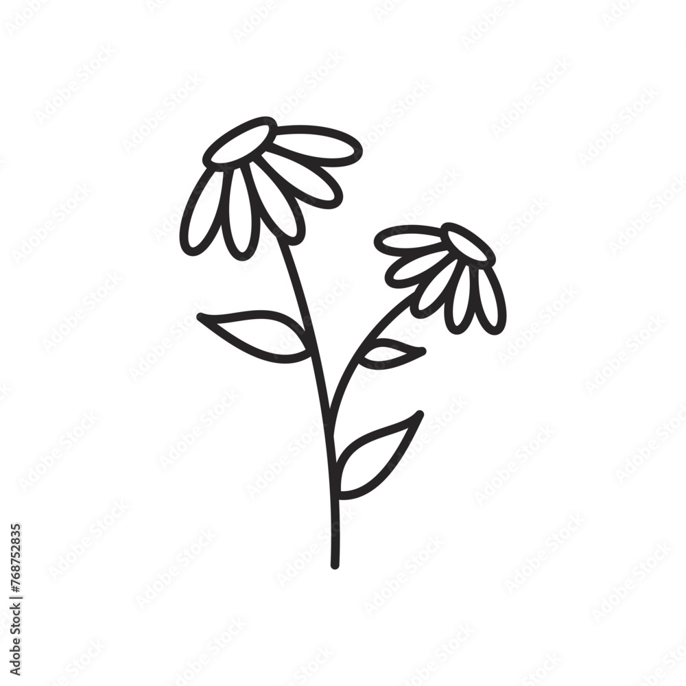 WebSpring flowers line icon. Forest fern eucalyptus art foliage natural leaves herbs. Decorative beauty elegant illustration for design hand drawn flower WebSpring flowers line icon. Forest fern eucalyptus art foliage natural leaves herbs. Decorative beauty elegant illustration for design hand drawn flower