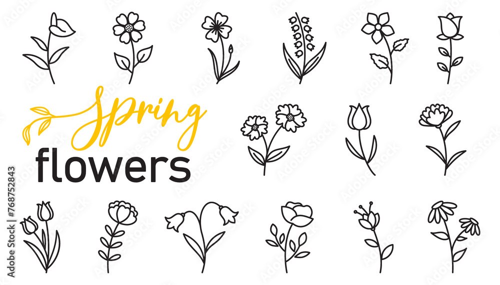 Fototapeta premium Line design spring flower collection