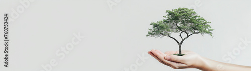 Photo of a person's hands holding a small tree, against a white background, symbolizing care for the environment and growth.