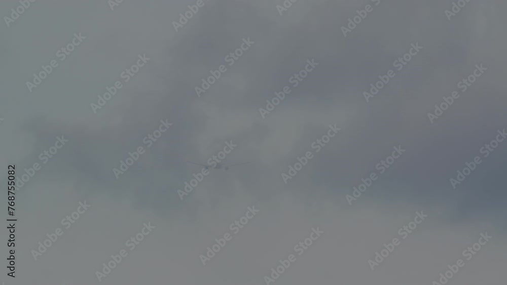 A plane flying in the distance is visible through a flock of birds scattered in the foreground against a cloudy sky A plane flying in the distance is visible through a flock of birds scattered in the foreground against a cloudy sky