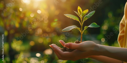 Hand holding a tree seedling, with a green background for the environment and ecology concept with sunlight. 