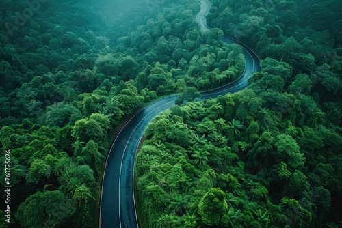 Top view from above lovely road with curves in a verdant woodland. Generative Ai © Planum