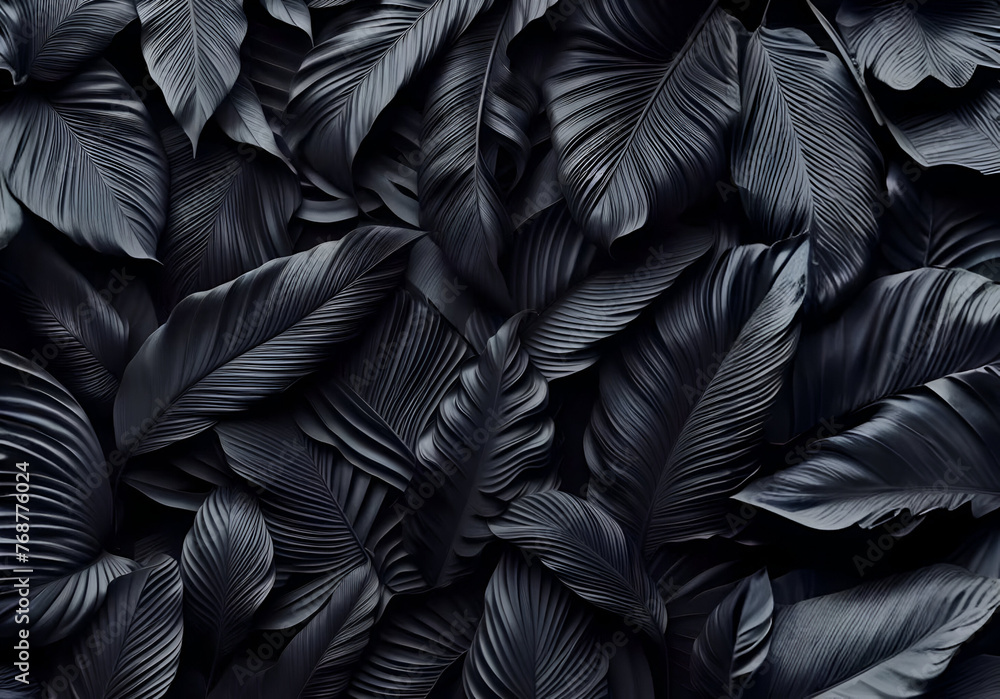 a black background with black leaf a black background with black leaf