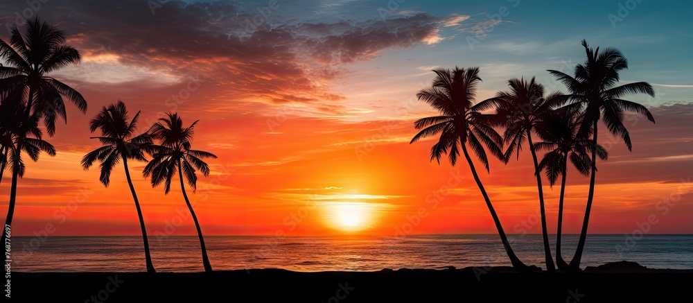 Tropical palm trees casting striking silhouettes against the vibrant hues of a beach sunset