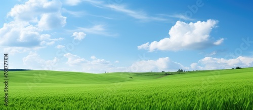 A vibrant green field stretches under the clear expanse of a beautiful blue sky with fluffy clouds in the background