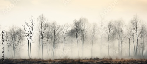 Sparse trees in a foggy fie...