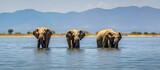 Row of three elephants standing gracefully in a lake in Africa, with majestic mountains in the background