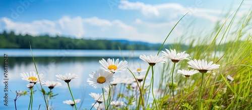 Colorful wildflowers are blooming in abundance amidst the lush green grass near a tranquil lake in the summertime