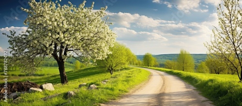 Dirt road winding through t...