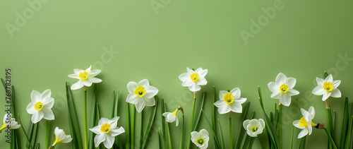 White narcissus flowers on green background. Flat lay, top view, copy space