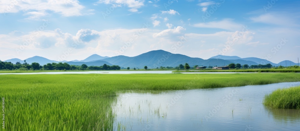 Scenic view of a tranquil lake surrounded by lush green grass and a majestic mountain in the distance