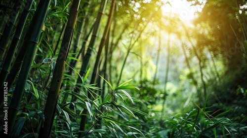 Lush bamboo forest background, dense green bamboo stalks, tranquil nature scene.