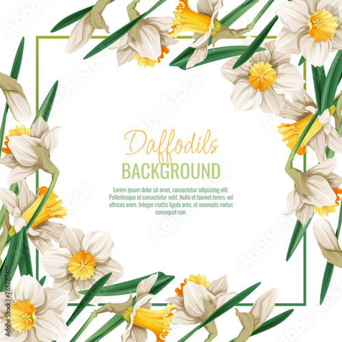Spring background with daffodils. Postcard, banner for Easter. Spring time. Frame with delicate spring flowers.