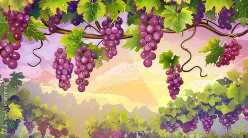 Watercolor of grape tree on sunny background. Ripe grape hanging from a tree branch in a grape orchard.