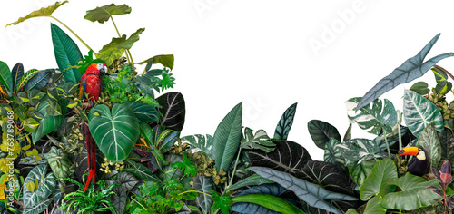 A collage of tropical plants and birds, an element for the design of a unique poster, postcard or banner.

