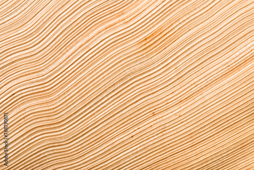 Background of dried palm frond, close up.