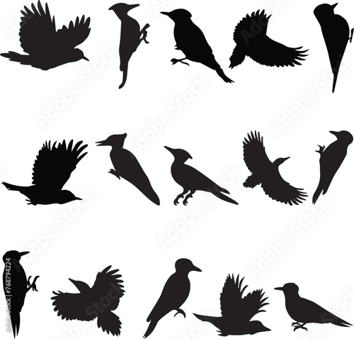 Vector pack of birds in black  set against a white background