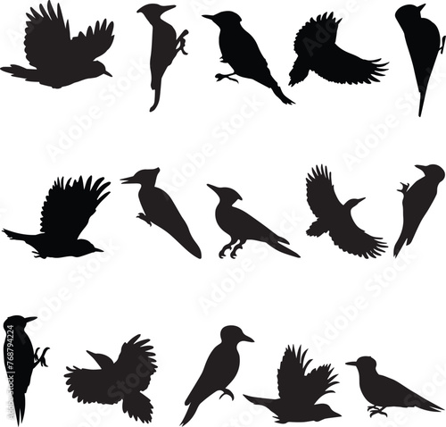 Canvas Print Vector pack of birds in black, set against a white background