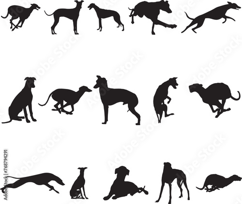 Vector illustration of multiple dog silhouettes in various poses against a white background