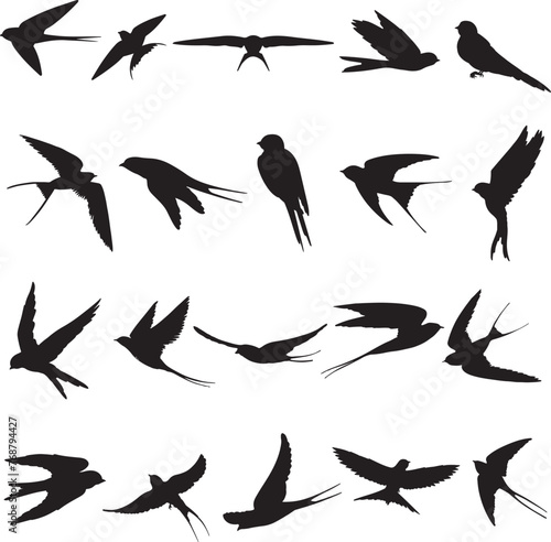 Vector illustration of a flock of diverse birds silhouetted against a white background