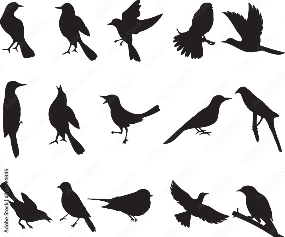 Obraz premium Vector illustration of a flock of diverse birds silhouetted against a white background