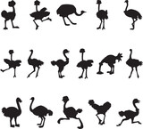 Vector illustration of silhouettes of birds wearing standing on white abstract background