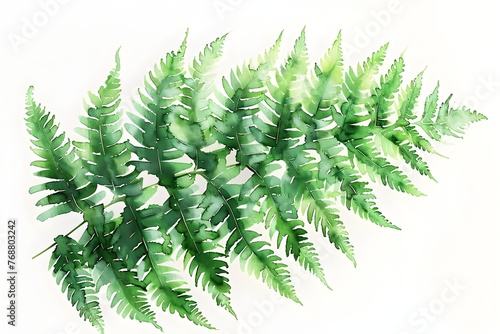 Lush Watercolor Fern Clipart with Radiant Natural Beauty and Vibrant Spring Hues on Isolated Background