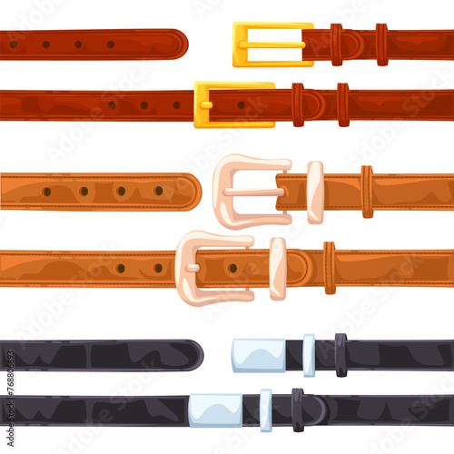 Set of classic leather male and female belts with buttoned and with unfastened buckles on a white background.