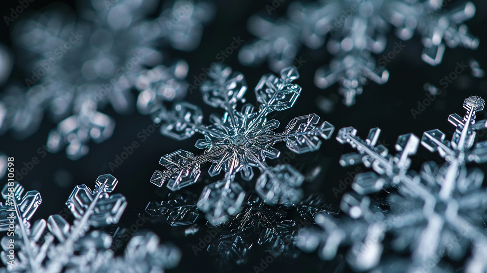 Close-up Views of Intricate Snowflake Patterns Close-up Views of Intricate Snowflake Patterns