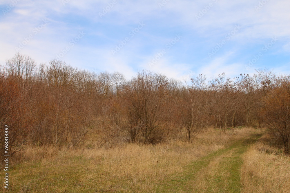 A grassy field with trees and a sign on it